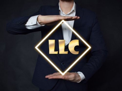 Possible Areas of Application for American LLC