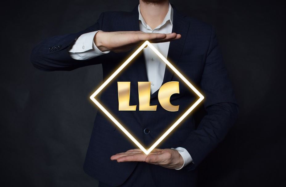 limited liability company
