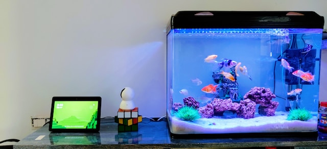Water Quality and Stability